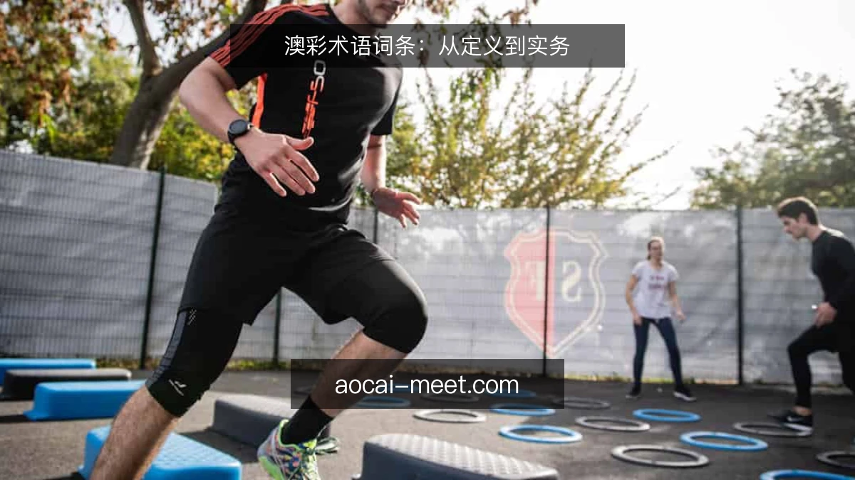 澳彩术语词条：从定义到实务